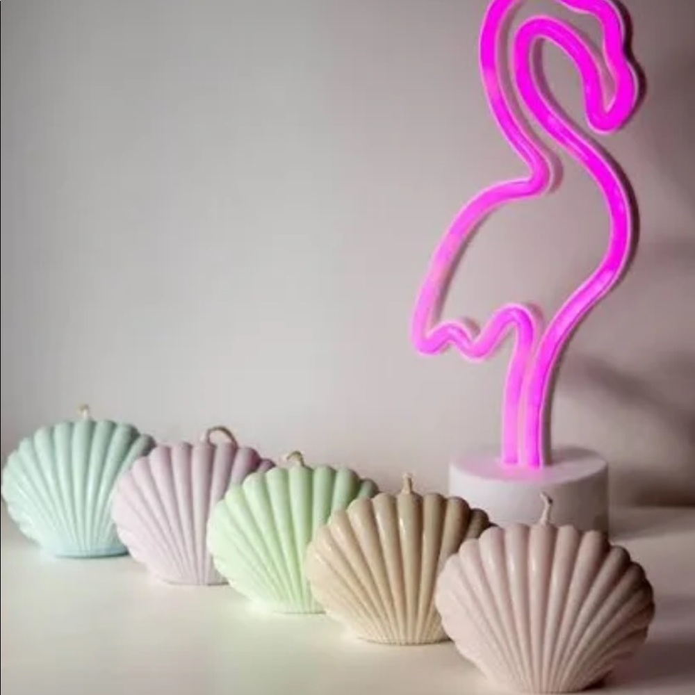 Pastel Scallop Shells Decorative Candles from Flamingo Candles Lab bundle of 5